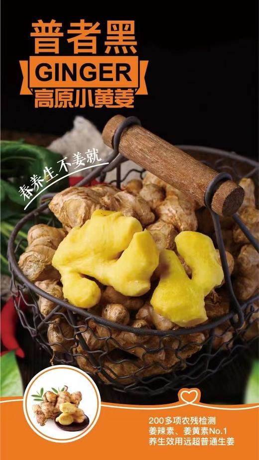 【秒杀中！产地直发】云南高原小黄姜/老姜，姜中“王者”  药食同源的生姜，够香够辣 商品图11