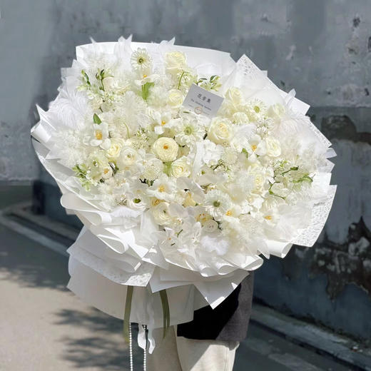 落入人间的仙子 商品图0