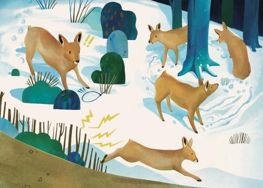 《山居四季：长白山观察日记》（全4册） 商品图6