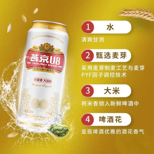 燕京U8（听装）500ml*12听 商品图2