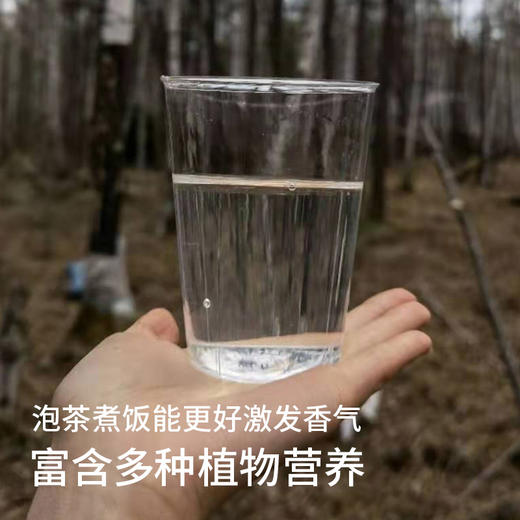 白桦树小分子水1L 商品图4