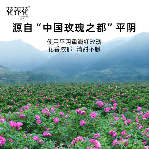 【经典版爆款】玫瑰鲜花饼45g/1个装，10个起售！ 商品图2