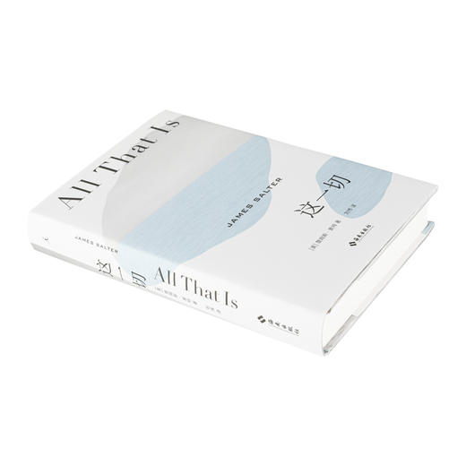 这一切（美）詹姆斯·索特 著 商品图1