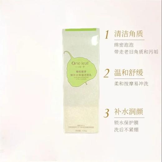 一叶子 橄榄嫩芽鲜补水保湿洁面乳 100g 商品图0