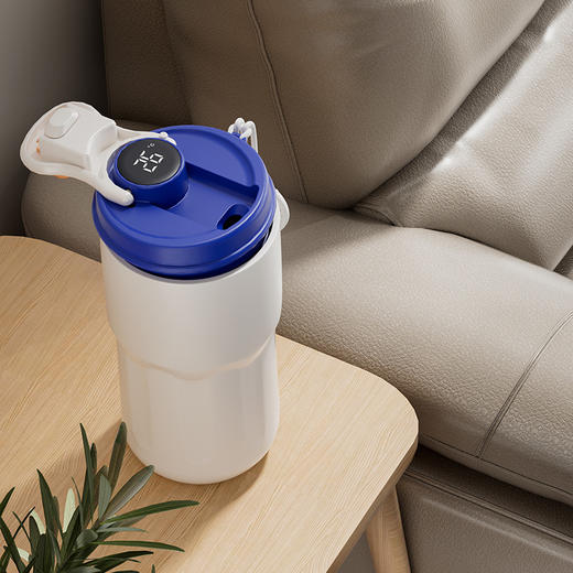 【高颜值轻奢香奈咖啡杯】316不锈钢显温随行水杯 商品图4