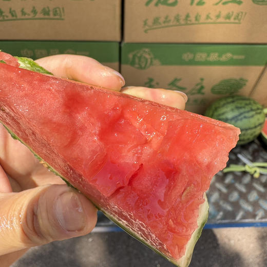 庞各庄冰糖小西瓜 商品图2