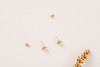 SINGAPORE EARRINGS 耳钉 商品缩略图3