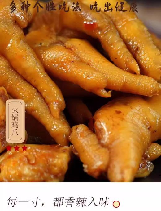 刘二嘎老重庆大鸡爪 约500g/份 商品图3