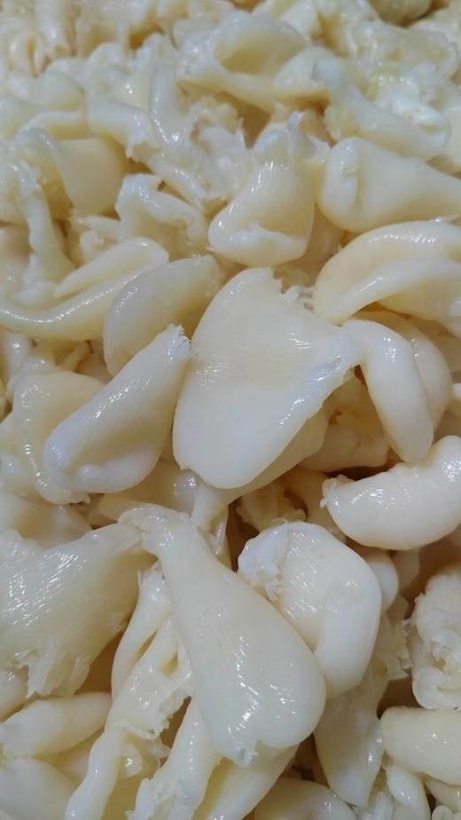 米鱼鸡蛋胶500克 商品图1