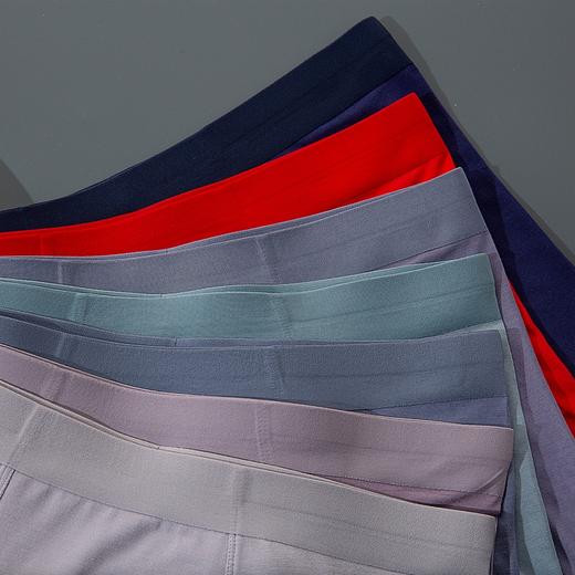 50s/80s超细莫代尔大红净色男士平角内裤3268/3029/13268 商品图4