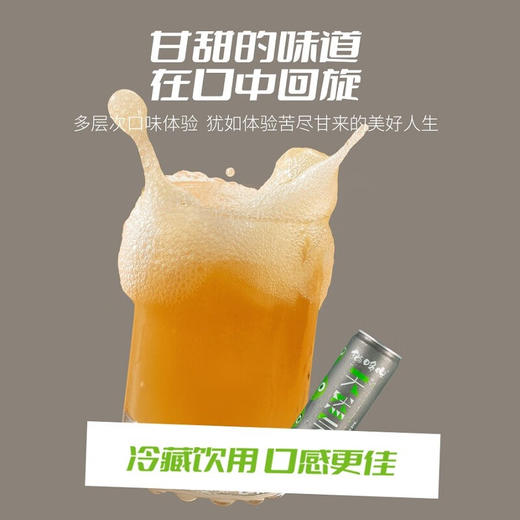 猫哆哩天然气泡果汁碳酸健康果汁饮料云南特产礼盒 滇橄榄含气（果汁含量45%）12罐 罐装 商品图3