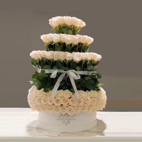 粉德拉玫瑰塔——钟情于你