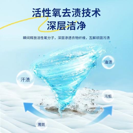 臻图 污渍爆炸盐1kg 商品图2