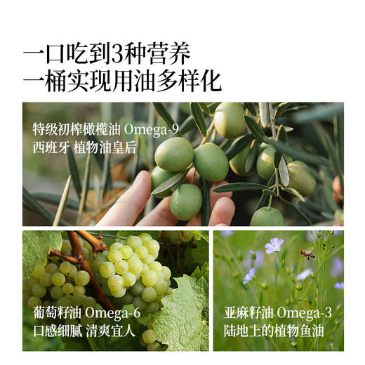 【营养师精选】 2.5L植物甾醇酯食用植物调和油 商品图4