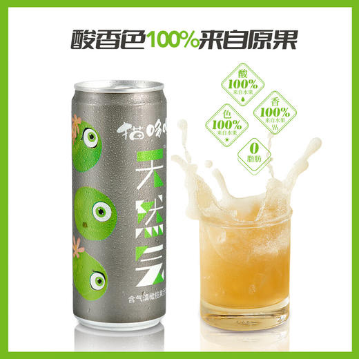 猫哆哩天然气泡果汁碳酸健康果汁饮料云南特产礼盒 滇橄榄含气（果汁含量45%）12罐 罐装 商品图1