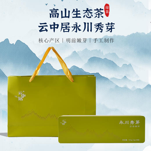 云中居 永川秀芽152g（4g×38袋） 商品图0