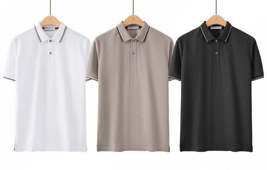 Martine Wester 式70S双强捻棉珠地丝光横机领T恤衫 11013555 商品图0