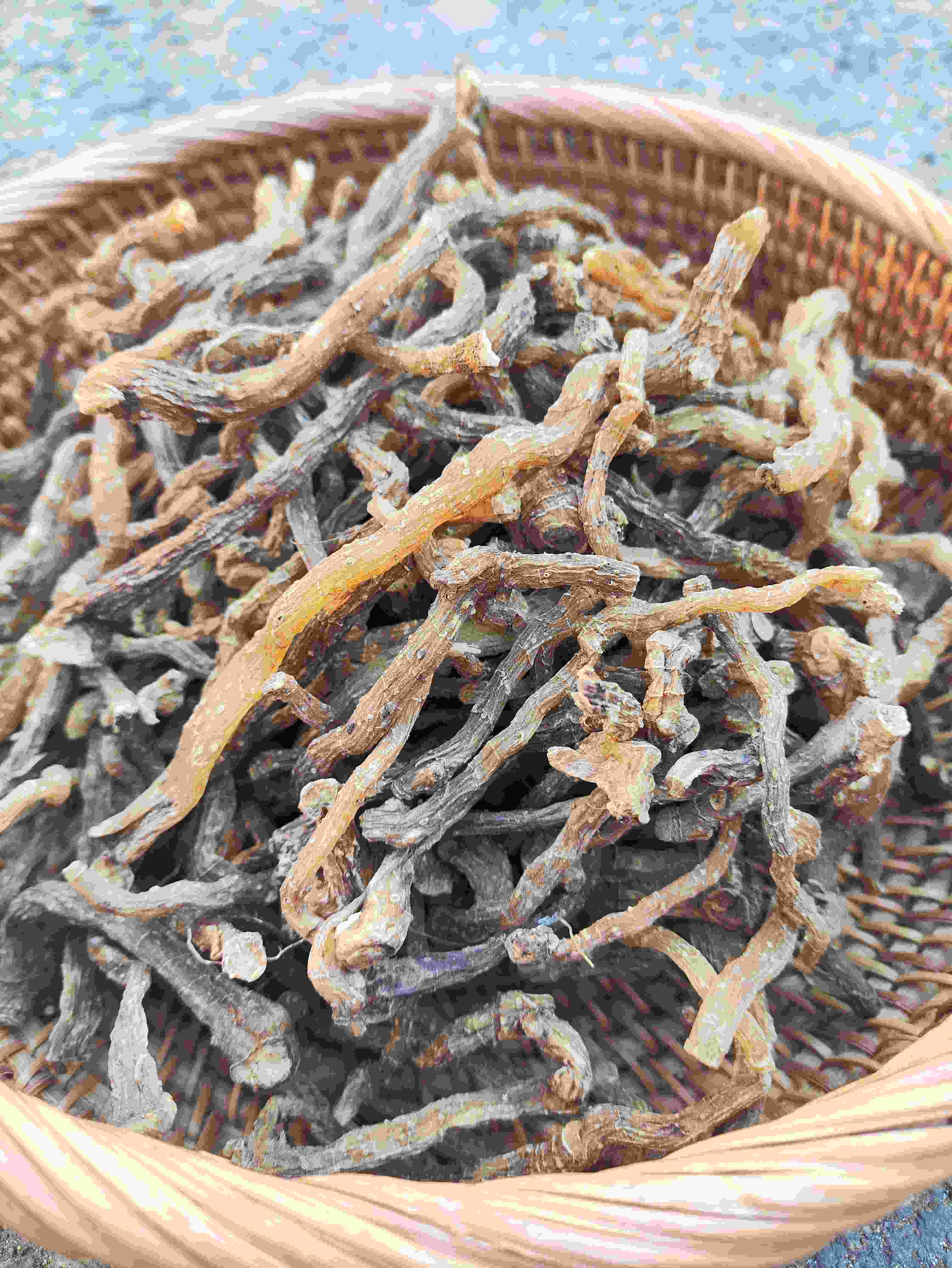 长白山野生山茱萸、玉竹、   五味子