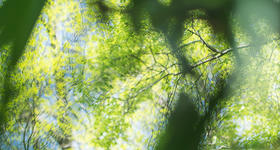 哪些孩子适合认干爹干妈？