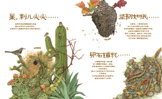 巢，如此喧闹   2024年百班千人暑期书目2年级|祖庆说名师推荐正版课外阅读现货速发 商品图1