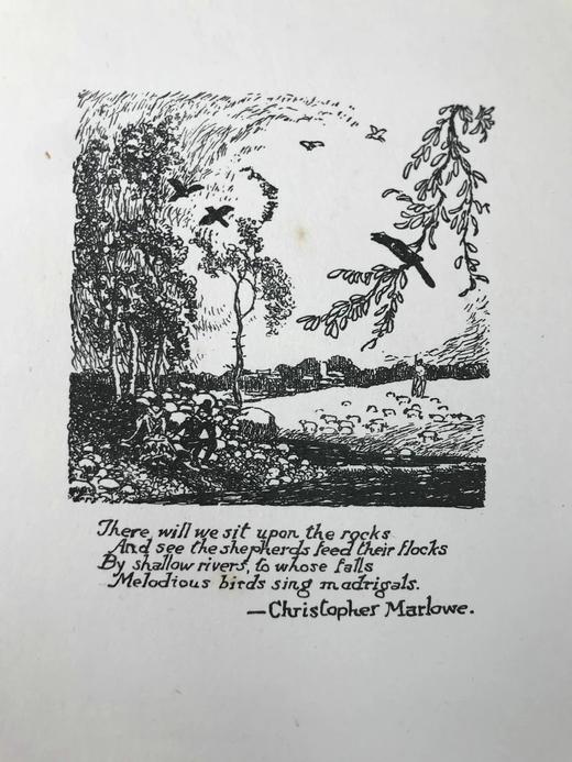 神祇之歌：爱情抒情诗 霍尔丹·麦克福精美插图 布脊精装大32开 商品图4