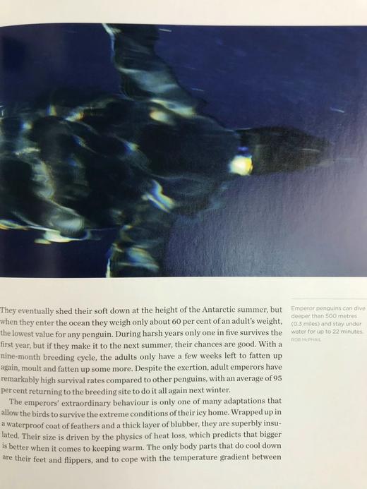 冰雪的秘密：南极洲对气候、宇宙与生命极限的启示 150余幅彩色插图 精装16开 商品图14