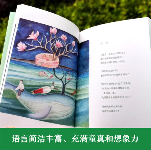 我和毛毛   2024年百班千人暑期书目5年级|祖庆说名师推荐正版课外阅读现货速发 商品图2