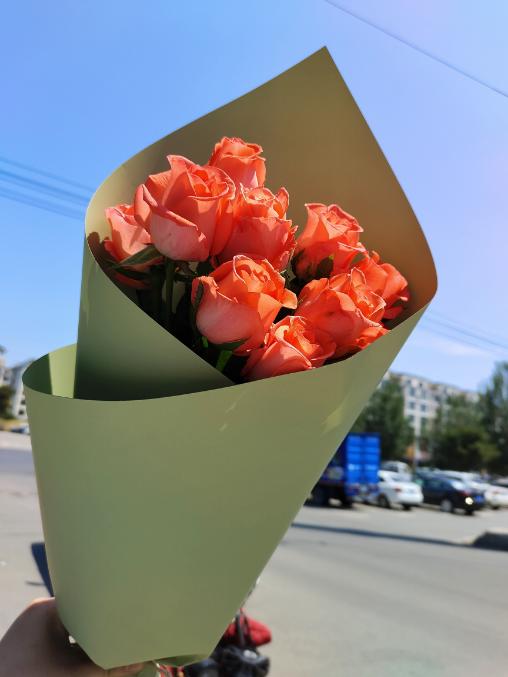 影星粉玫瑰10支 商品图1