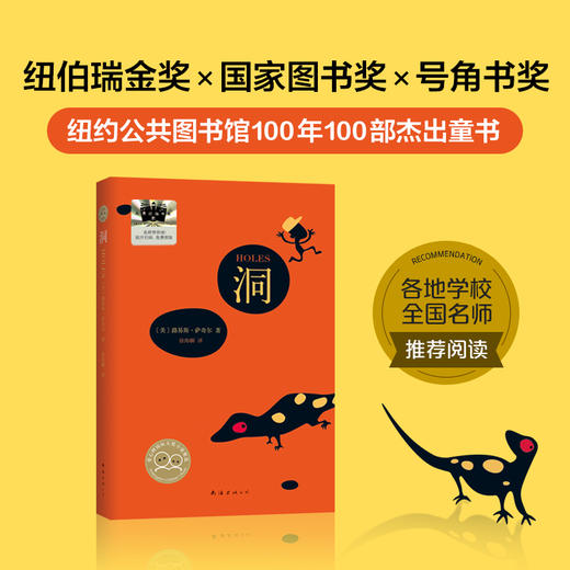 洞   2024年百班千人暑期书目6年级|祖庆说名师推荐正版课外阅读现货速发 商品图2