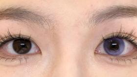 jelly doll半年抛美瞳 潘多拉 14.5mm