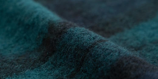 d毯子 LIFESTCOCK8800 商品图3