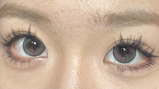 jelly doll半年抛美瞳 害羞草 14.5mm 商品图0