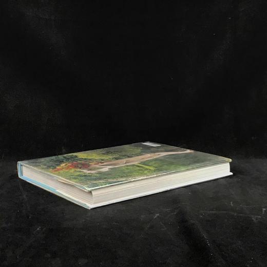 美式插花图集 约百余幅彩色插图 精装大16开 商品图2