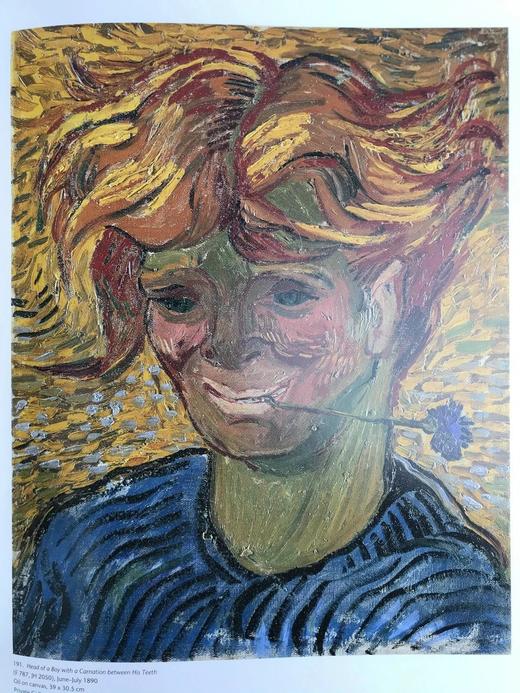 梵高肖像画集 228幅插图（204幅彩色） 精装大16开 商品图7