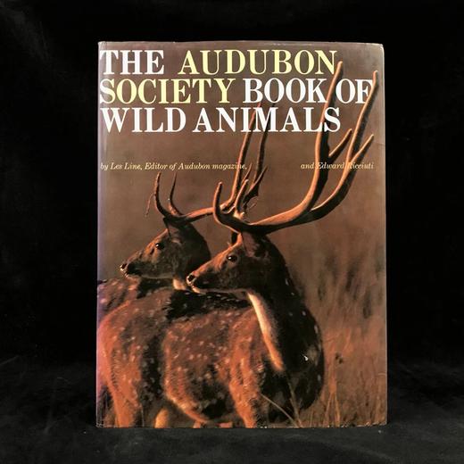 奥杜邦学会野生动物之书 181幅彩色插图 精装大16开 商品图0