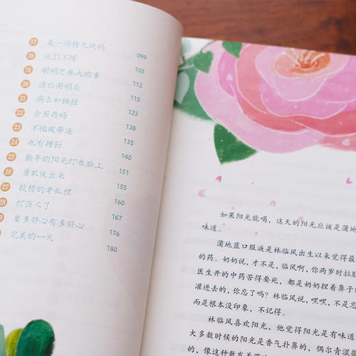 《奶奶的玫瑰园》 2024年百班千人暑期书目3年级|祖庆说名师推荐正版课外阅读现货速发 商品图1