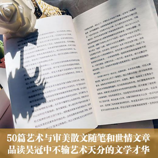 审美力   2024年百班千人暑期书目9年级|祖庆说名师推荐正版课外阅读现货速发 商品图2