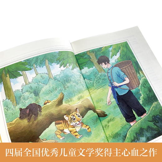 虎兄犬弟   2024年百班千人暑期书目6年级|祖庆说名师推荐正版课外阅读现货速发 商品图1