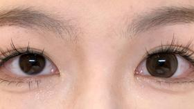 jelly doll日抛美瞳 山茶花 14.5mm