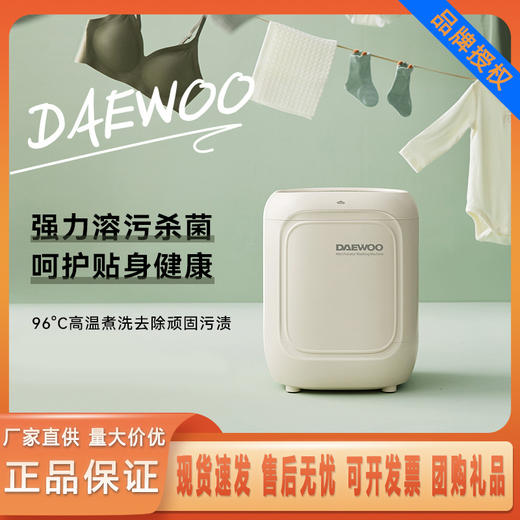 大宇内衣裤洗衣机迷你MINI洗烘舱洗烘一体高温洗全自动小型清洗机 商品图0