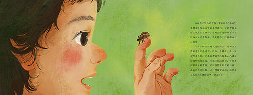 虫虫飞   2024年百班千人暑期书目学前大班|祖庆说名师推荐正版课外阅读现货速发 商品图2