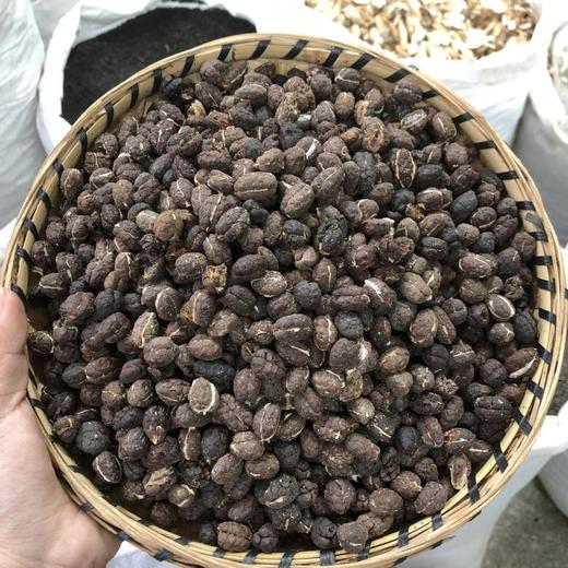 砂仁  去壳  净砂仁干净 商品图0