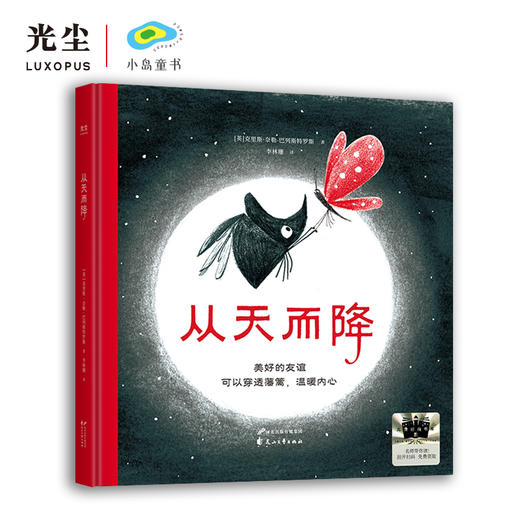 从天而降    2024年百班千人暑期书目1年级|祖庆说名师推荐正版课外阅读现货速发 商品图4