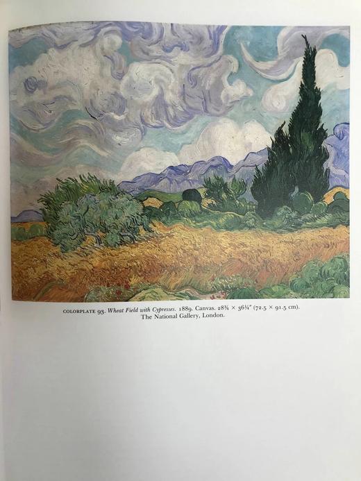 追忆梵高 125幅彩色103幅黑白插图 精装8开 商品图7