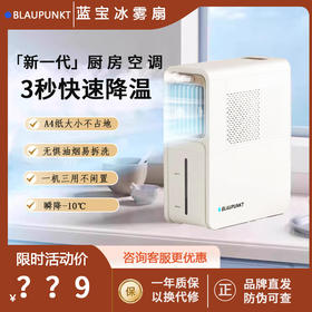 德国蓝宝厨房冰雾扇小型家用电风扇空调扇防油烟冰雾扇制冷台式扇