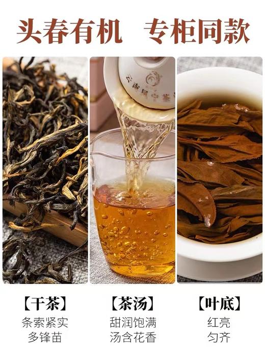 凤宁号 | 2024年 头春有机 百年古树茶 250g/罐 商品图1