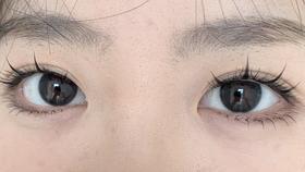 jelly doll半年抛美瞳 无辜泪眼 14.2mm