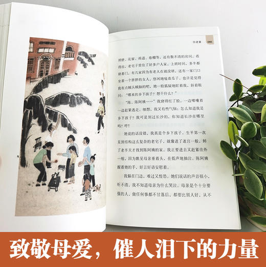 凤凰花开   2024年百班千人暑期书目5年级|祖庆说名师推荐正版课外阅读现货速发 商品图3