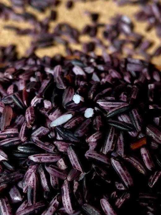 【墨江紫米】源自中国紫米之乡  富含花青素 传统农法种植  控糖 香糯养脾胃 低脂粗粮 4斤装 （运输漏气属正常现象不影响食用 介意慎拍） 商品图8