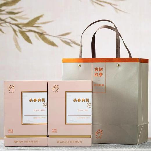 凤宁号 | 2024年 头春有机 百年古树茶 250g/罐 商品图3
